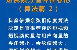 宁波抖音SEO教程哪里有？适合初学者吗？