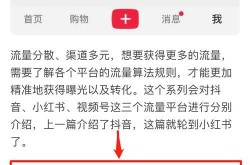 搜索引擎收录有哪些技巧？如何加速收录？