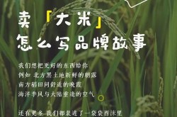 大米销售营销方案如何制定？有哪些实战经验？