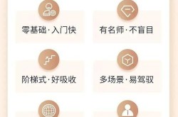 万全与上排名SEO专业培训哪个更适合新手？有哪些课程亮点？