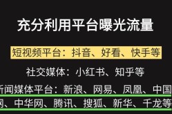 精准推广平台如何选？有哪些高效策略？