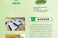 农业品牌宣传方案如何制定？哪些方法更能促进农产品销售？