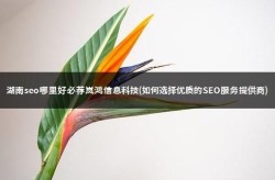 湖南岚鸿的SEO教程怎么样？值得学习吗？