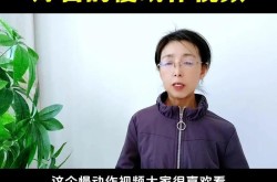 短视频制作入门教程，新手如何快速掌握短视频制作？