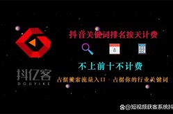 宁波抖音搜索SEO关键词排名优化怎么做？需要注意什么？