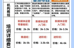 新媒体运营学习哪家学校更具实力？行业推荐