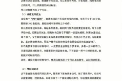 短视频代运营方案如何制定？高效方案模板一览