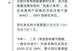 电商GMV排名背后的秘密与竞争策略