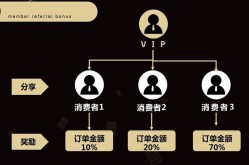 社交电商营销方案有哪些亮点？案例分析