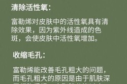 野外面膜上下边用有何护肤差异？专家如何看待？