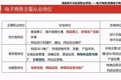 电商学完后能从事哪些岗位？职业发展路径解析