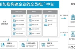 怎样制定高效的SEO推广计划？有哪些类型可以选择？