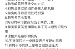 怎样正确修改小狗百科内容？技巧分享