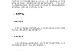 产品推广方案公司哪家强？如何选择专业合作伙伴？