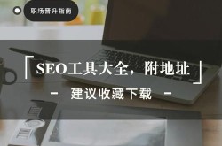 使用vsping工具进行SEO综合查询需要注意什么？