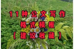 百科文案创建格式有标准吗？如何排版更美观？