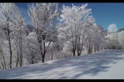 15秒下雪视频无水印素材哪里有？如何使用？