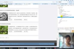 菜鸟建站基地提供哪些资源和教程？