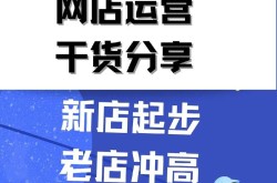 新电商运营如何推广？有哪些高效策略？