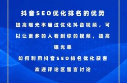 关键词排名优化，SEO软件怎么用？