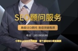 徐州seo顾问哪家强？专业意见助力企业发展