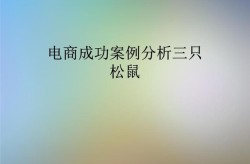 做电商平台需要哪些条件？成功案例分析