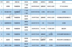 中国知名电商平台盘点，哪家最受欢迎？