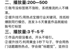 内地视频发布如何提高播放量？有哪些秘诀？