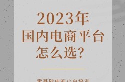 做电商平台的公司有哪些，如何选择？