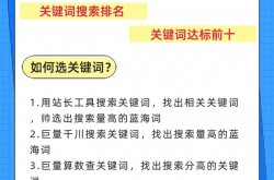 关键词排名点击器有哪些功能？如何使用？