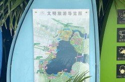 深圳特色百科创建全攻略，展现城市魅力