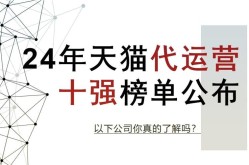 中小型电商企业有哪些成功案例？行业佼佼者介绍