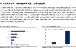 跨境电商开发策略，拓展国际市场