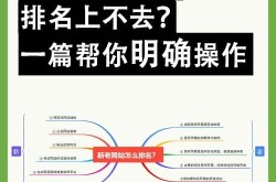 SEO关键词优化软件合作流程是怎样的？