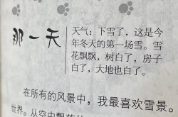 笑猫日记会唱歌的猫哪个好？如何评价这本书？