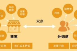 电商分销主要做什么？揭秘分销模式运营秘诀