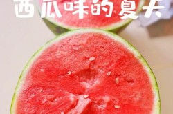 西瓜百科创建合集，夏季美食推广