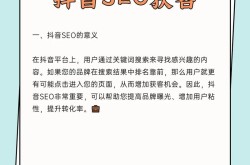 SEO短视频网页入口引流方法，哪些最实用？