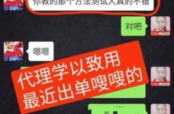 微商总结：成功案例与经验分享，助你轻松上手