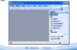 Office2003迷你版，哪个版本更适合办公使用？