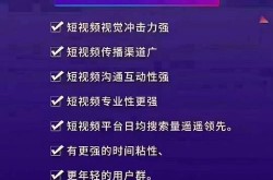 SEO短视频网页如何引流？入口策略大揭秘