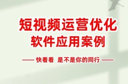 发布视频技巧分享，如何高效利用软件工具？