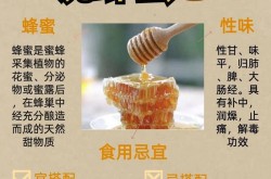 药食同源产品如何推广？有哪些健康理念可以融入？