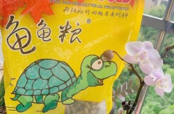 龟粮品牌推荐哪个品质好？选择龟粮品牌应关注哪些方面？