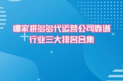 拼多多运营团队靠谱吗？平台优势与不足分析