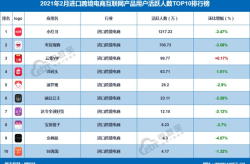 电商数据分析软件哪家强？排名top榜单揭晓