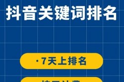 相城SEO软件在网站优化中起到什么作用？