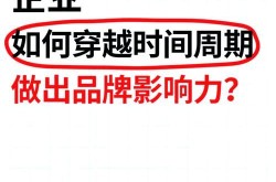 坚果品牌营销策划案例，如何打造品牌影响力？