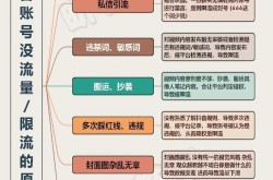 抖音短视频带货教程揭秘，如何高效转化流量？