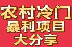 最赚钱的冷门暴利生意有哪些？如何挖掘这些机会？